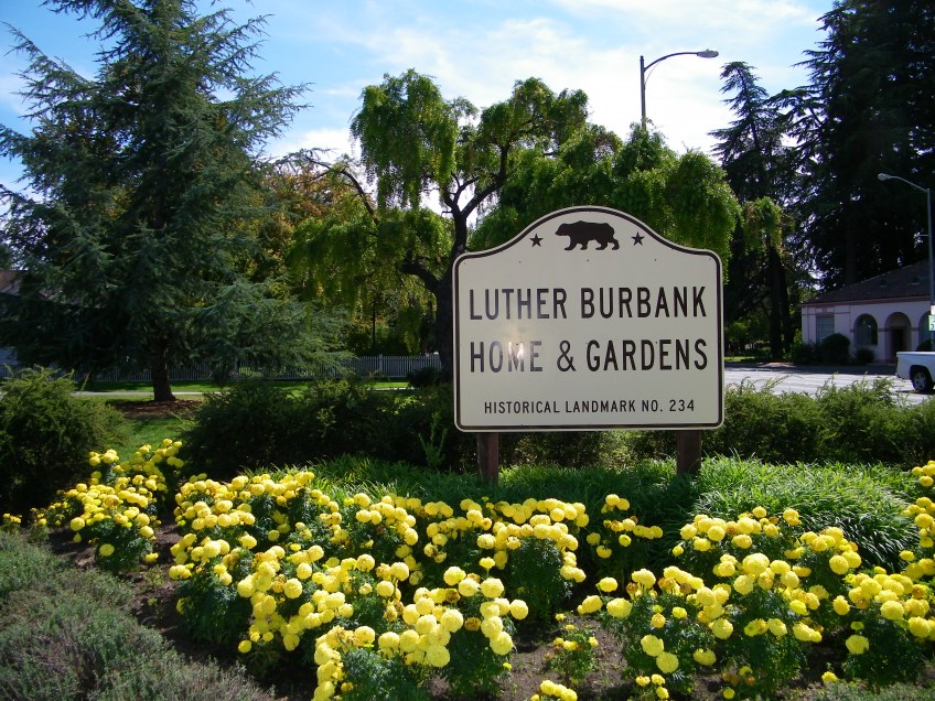 Luther Burbank Home And Gardens California Organic Gardening Club